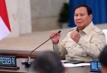 Presiden Prabowo Tekankan Swasembada Pangan