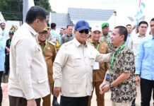 Presiden Prabowo Dorong Penataan Kota