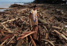 Perusahaan Penyebab Banjir Sumatra