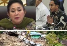 Video Truk Bawa Kayu Gelondongan Usai Banjir