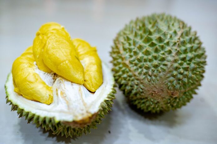 Musang King Malaysia Anjlok