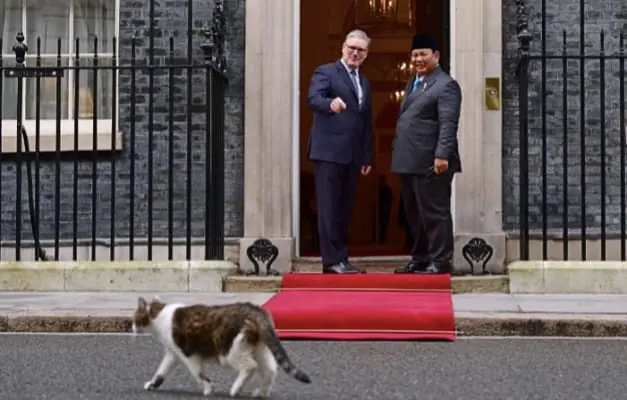 Fakta Unik Larry the Cat