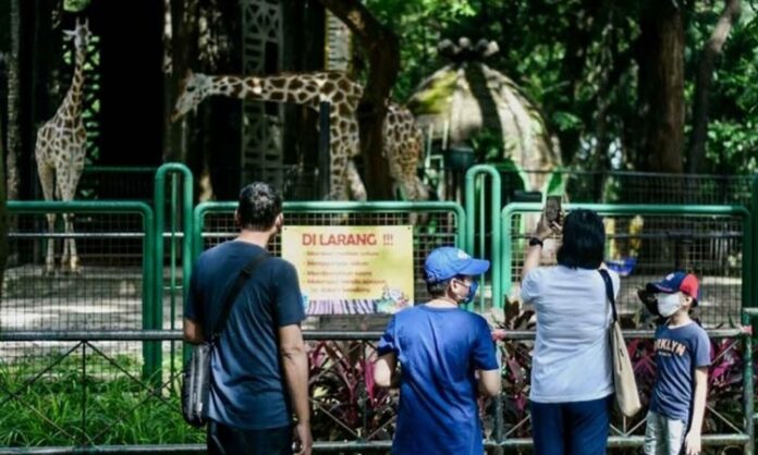 Wisatawan Ragunan Imlek