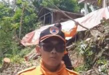 BPBD Jember Tanah Longsor