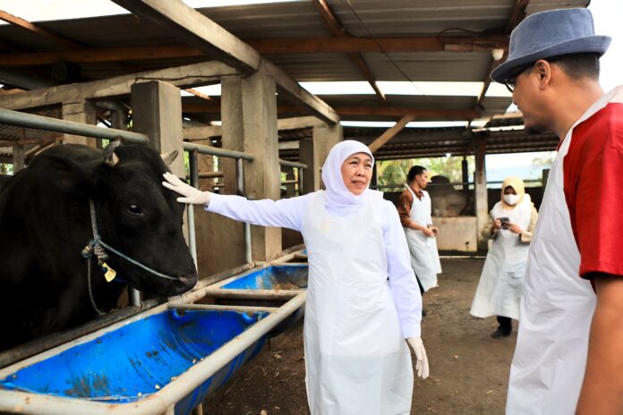 Khofifah Kurban Jatim