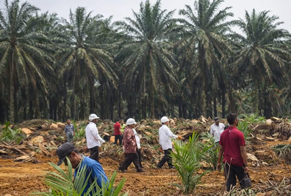 BPDP Buka Program Grant Riset 2026