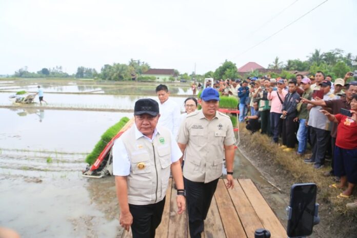 Gubernur Sumsel Wamentan