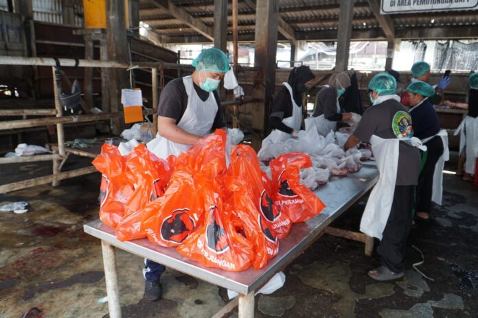 PDIP Jatim Daging Kurban