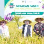 Panen Raya di Madiun: Gubernur Khofifah Pastikan Jatim Konsisten Surplus Beras dan Siap Go International.