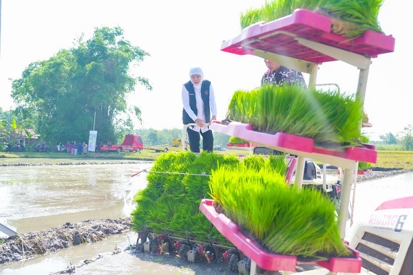 Gubernur Khofifah Pastikan Jatim Konsisten Surplus Beras dan Siap Go International