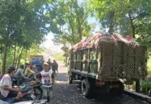 Kelola Sampah Mandiri