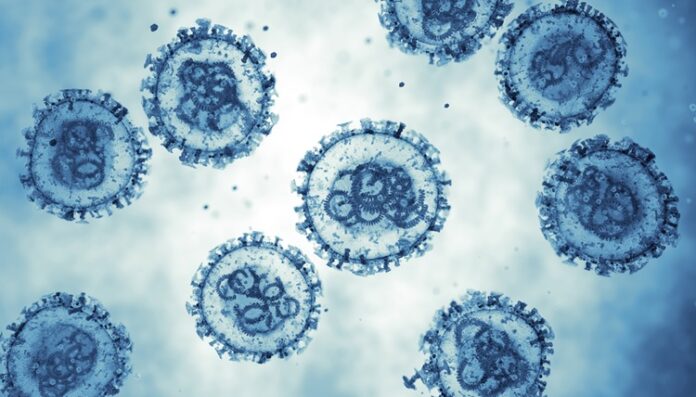 Pasien Hantavirus Meninggal